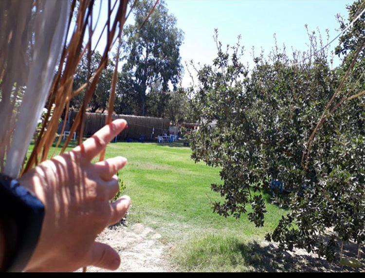 Campsite Bodrum Masali Gumusluk