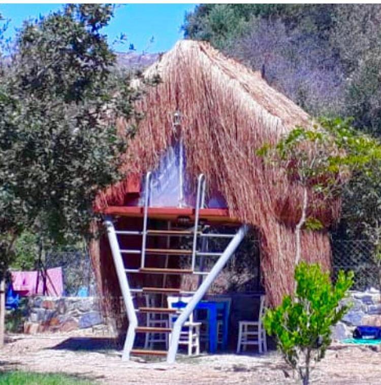 Bodrum Masali
