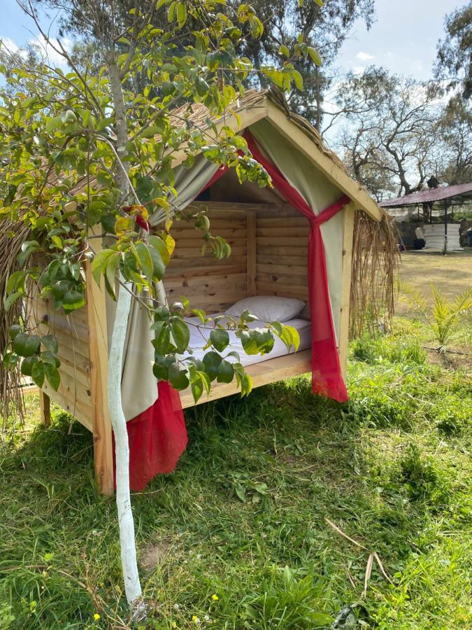 Bodrum Masali Campsite
