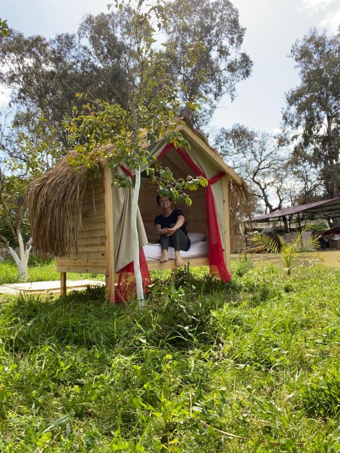 Bodrum Masali Campsite Gumusluk