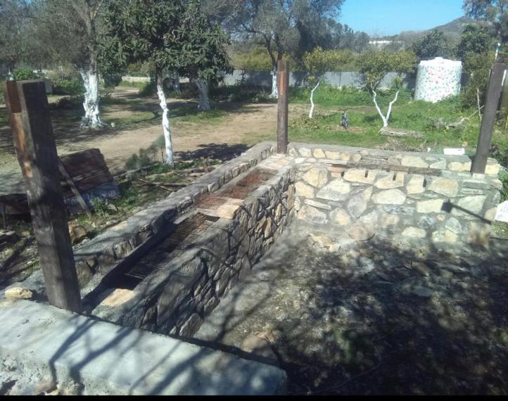 Bodrum Masali Gumusluk