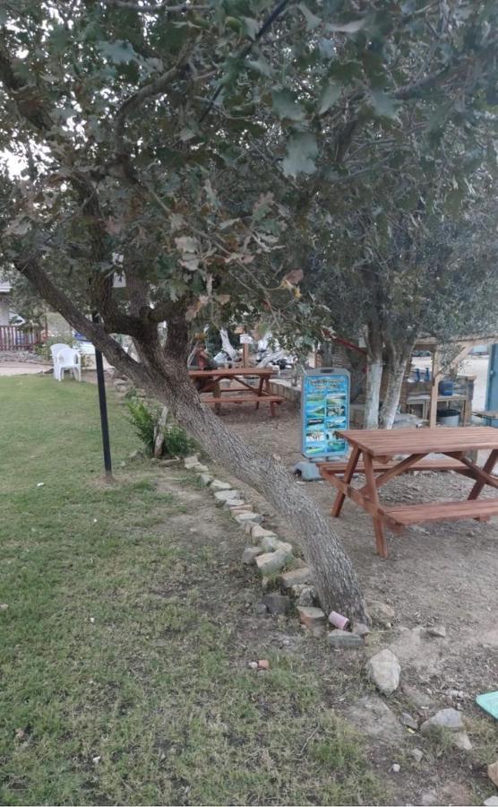 Bodrum Masali Gumusluk