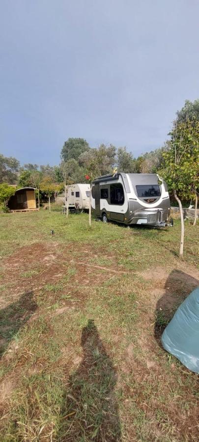 Campsite Bodrum Masali