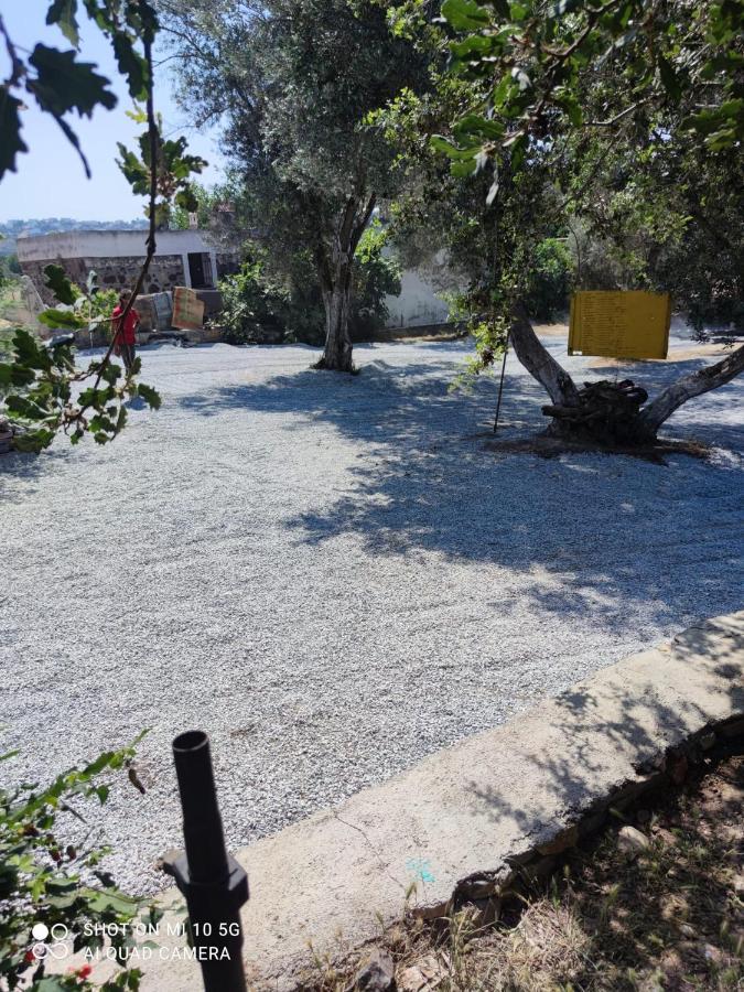 Bodrum Masali