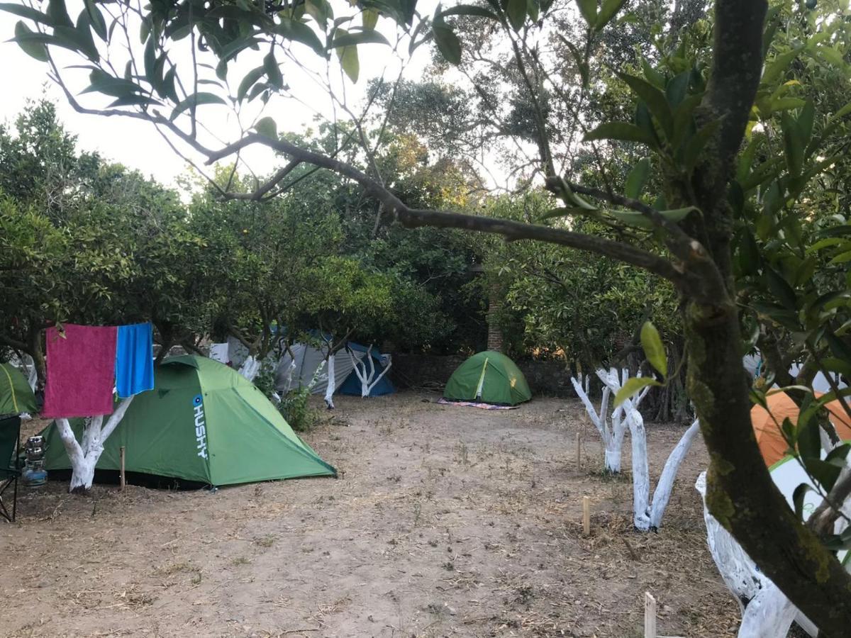 Bodrum Masali Campsite Gumusluk