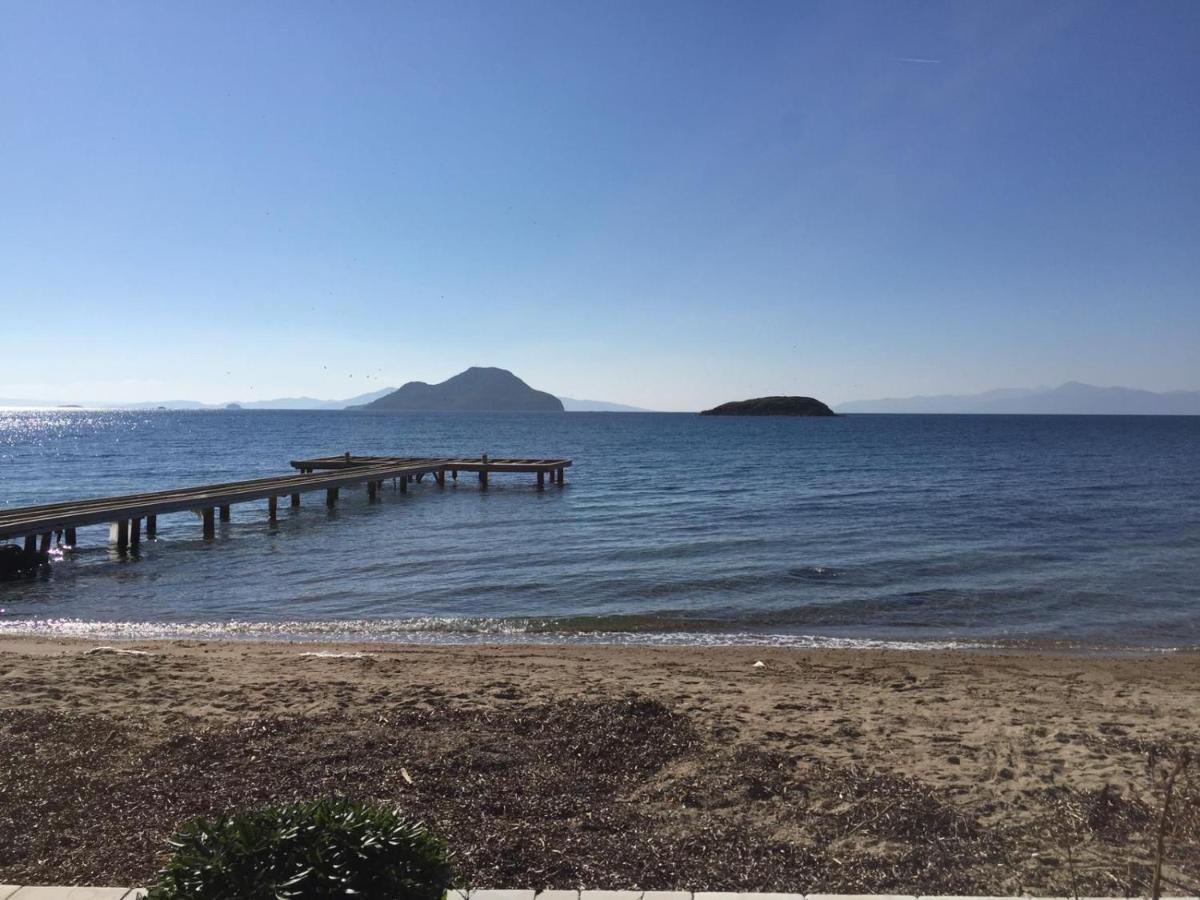 Bodrum Masali Campsite *