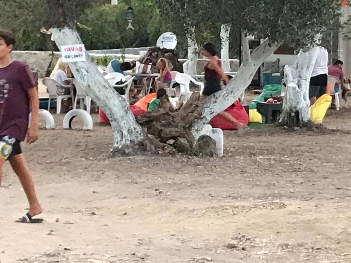Bodrum Masali Campsite Gumusluk