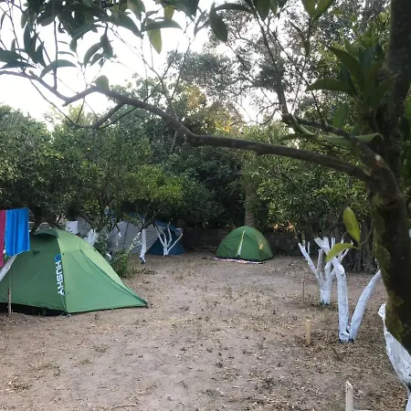Bodrum Masali Camping Gumusluk Exterior photo