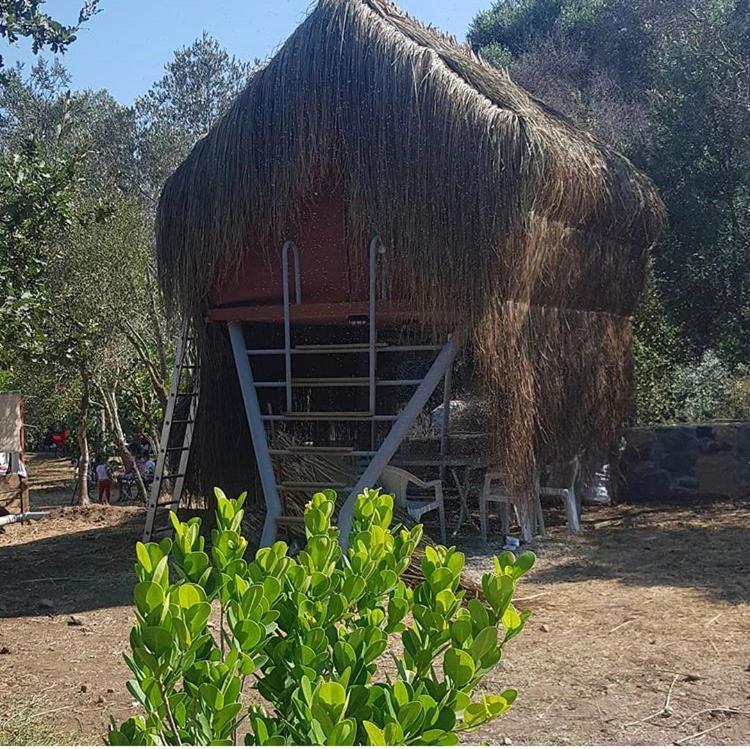 Bodrum Masali Campsite *