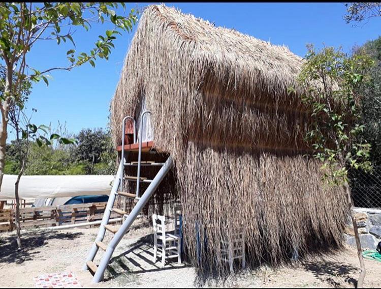 Campsite Bodrum Masali