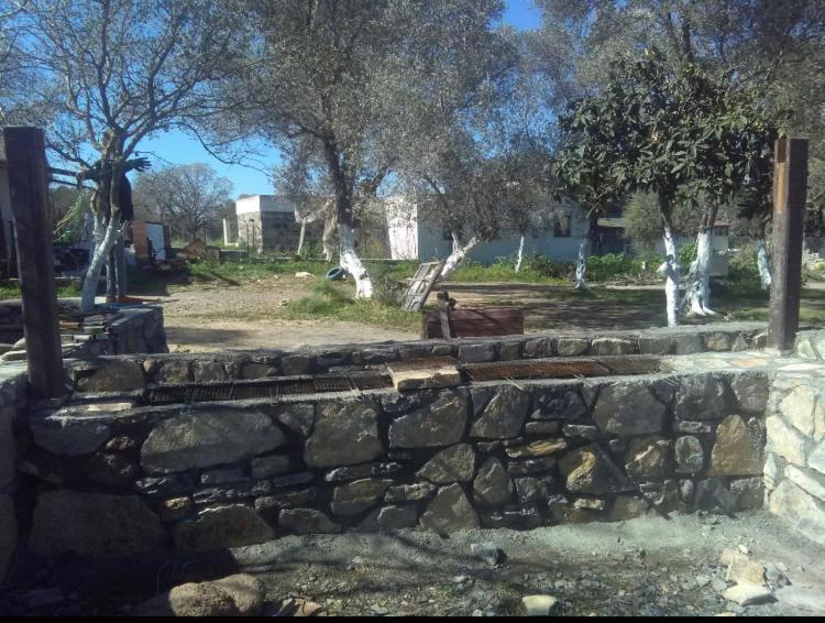 Bodrum Masali Campsite