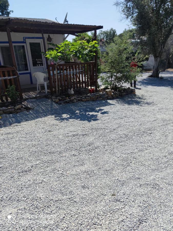 Bodrum Masali Gumusluk